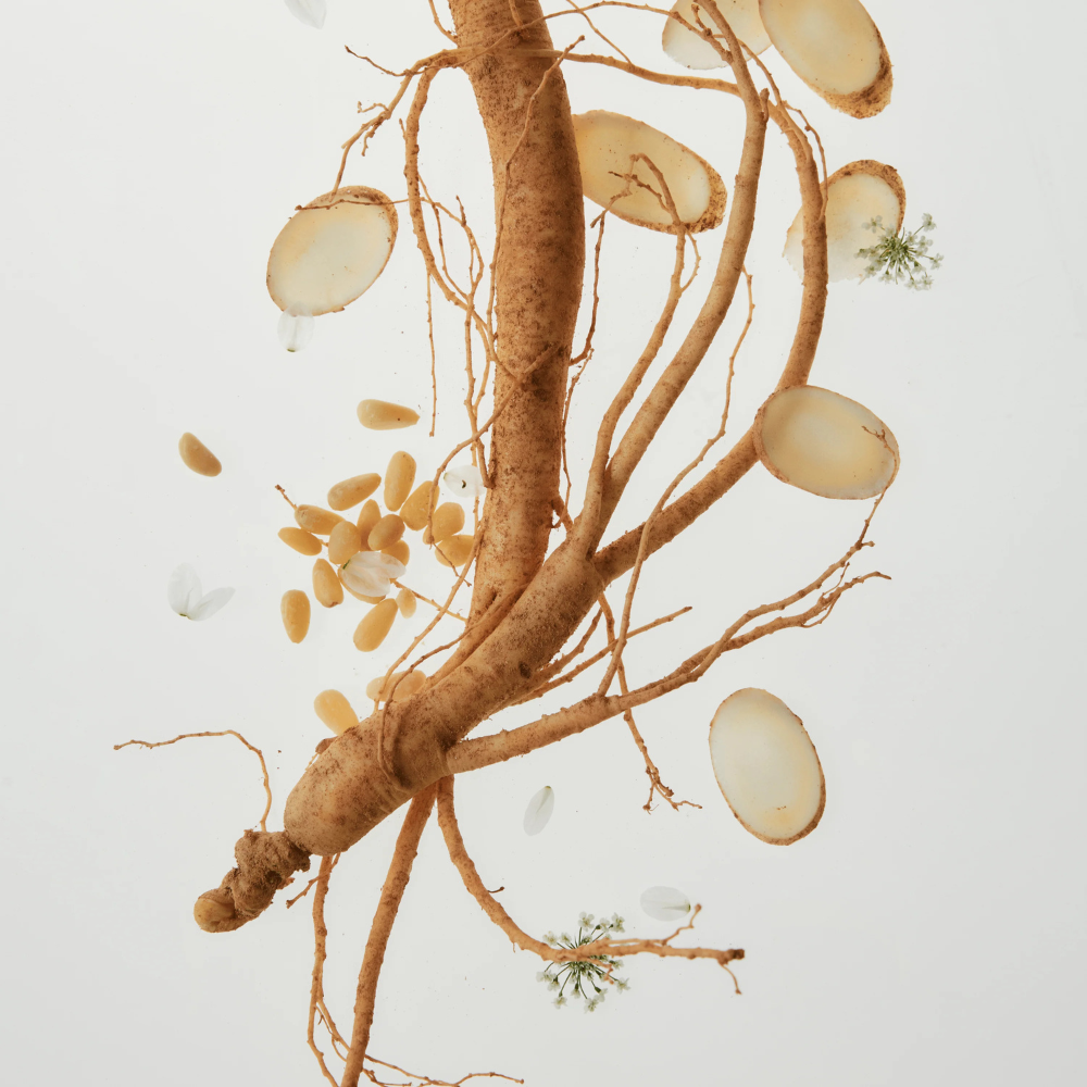 Beauty of Joseon | Ginseng Moist Sun Serum SPF50+