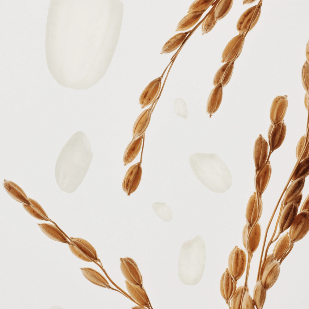 Beauty Of Joseon | Glow Deep Serum: Rice + Arbutin