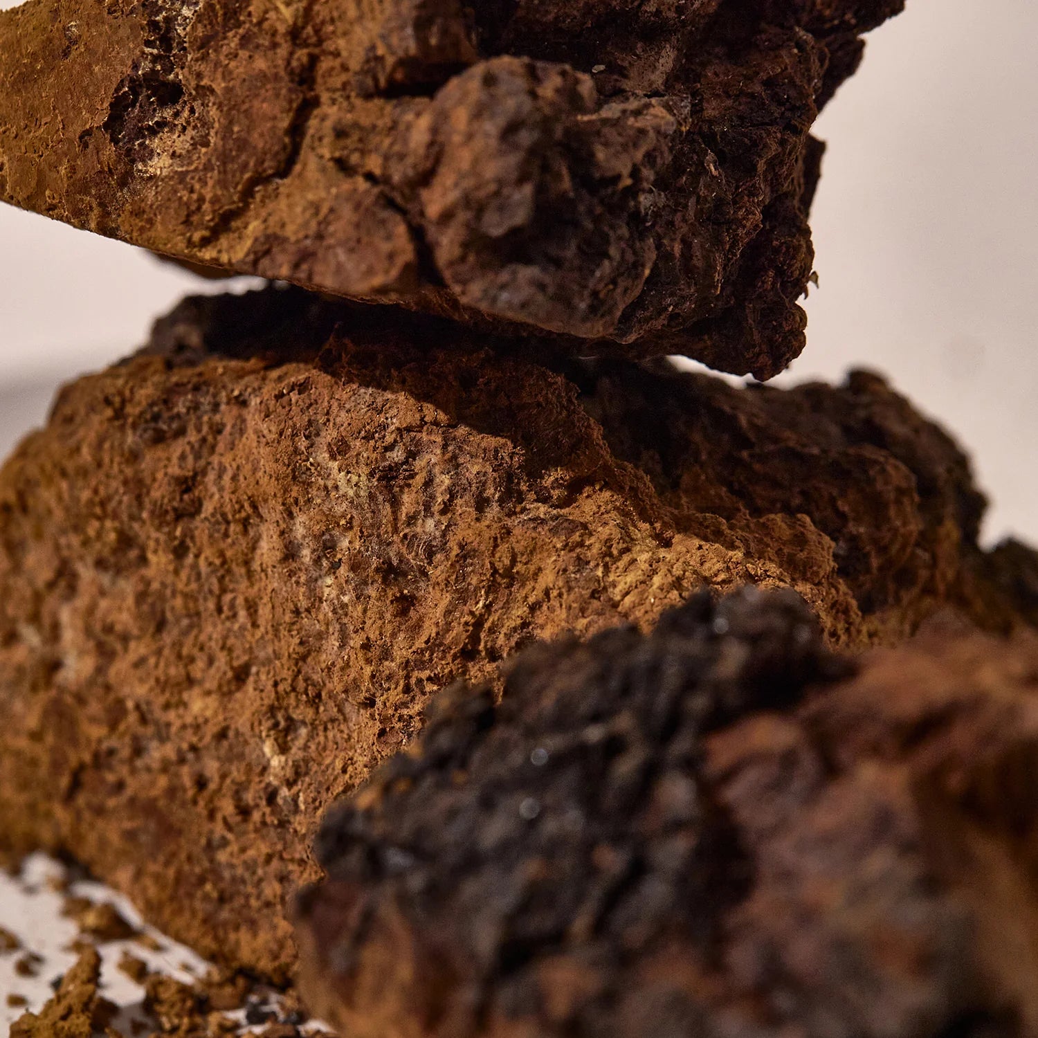 KAINE | Chaga kolagen polnilni serum