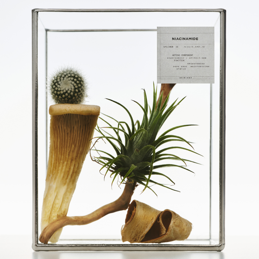 SKIN1004 | Lab in Nature: Niacinamide 10 Boosting Shot ampula