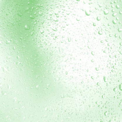 Haruharu Wonder | Black Bamboo Mist