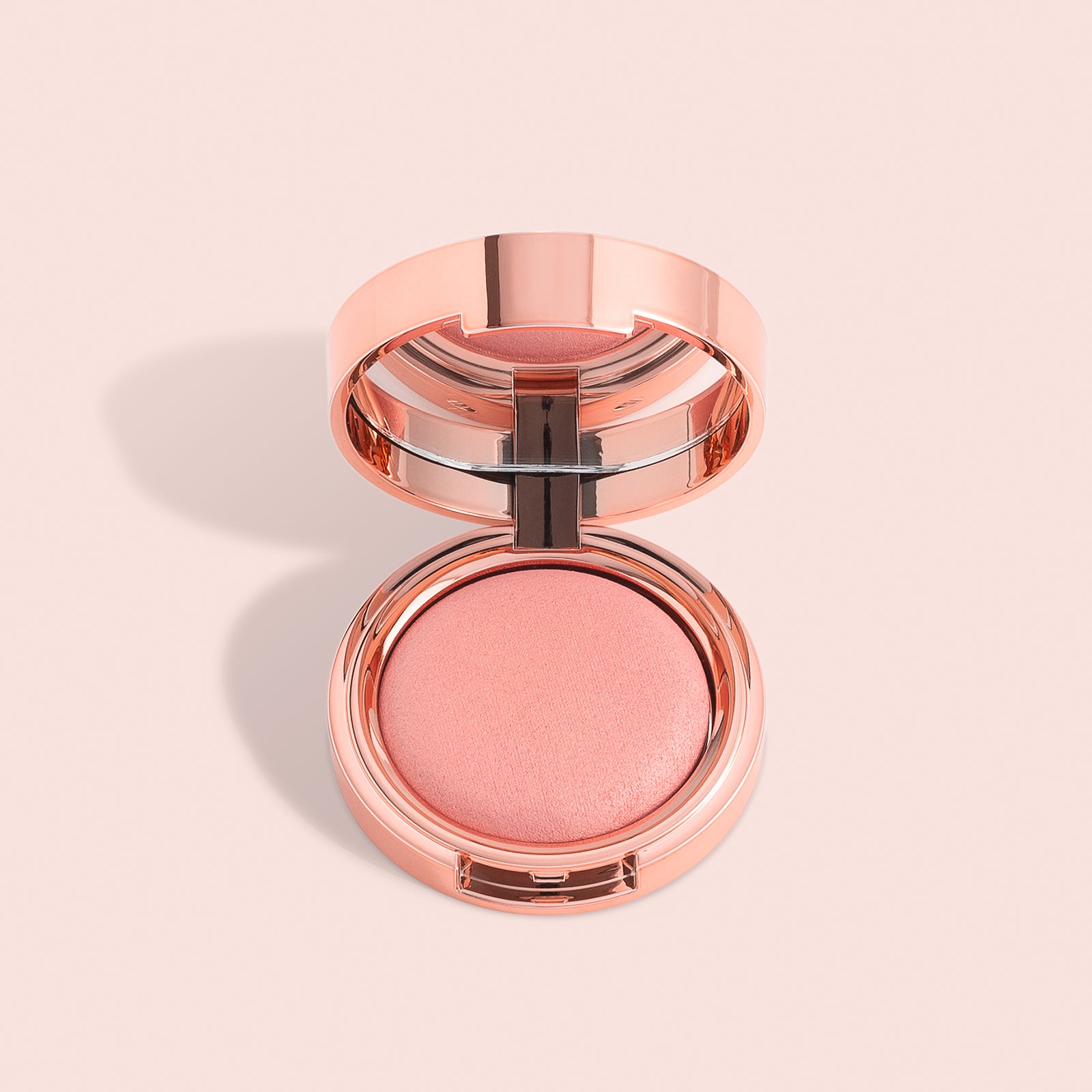 Bellamianta | X Paddy Blusher