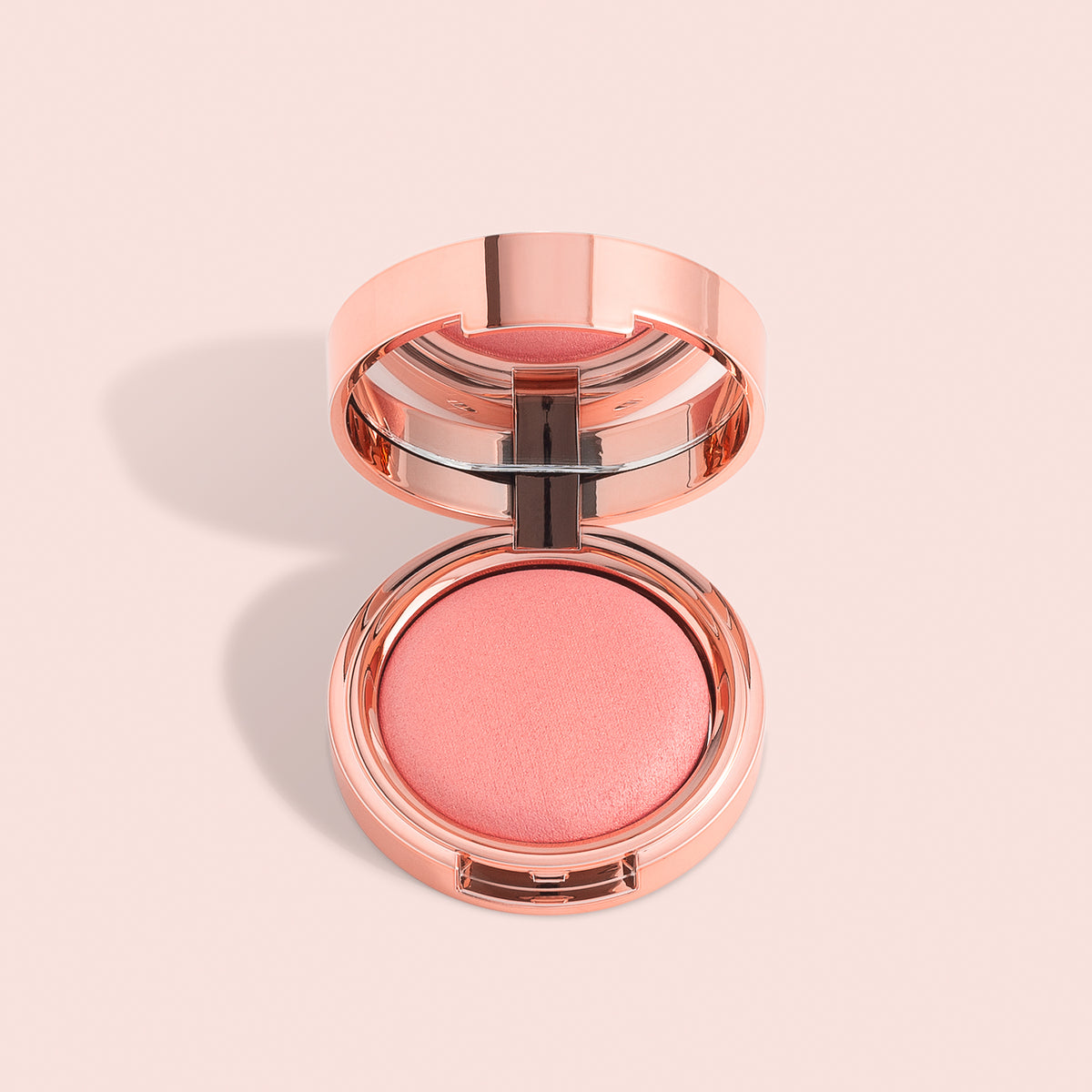 Bellamianta | X Paddy Blusher