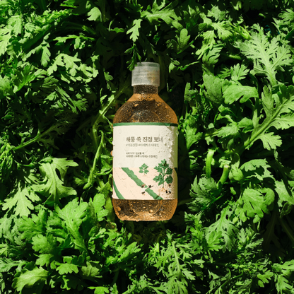 ROUND LAB | Mugwort Calming Toner