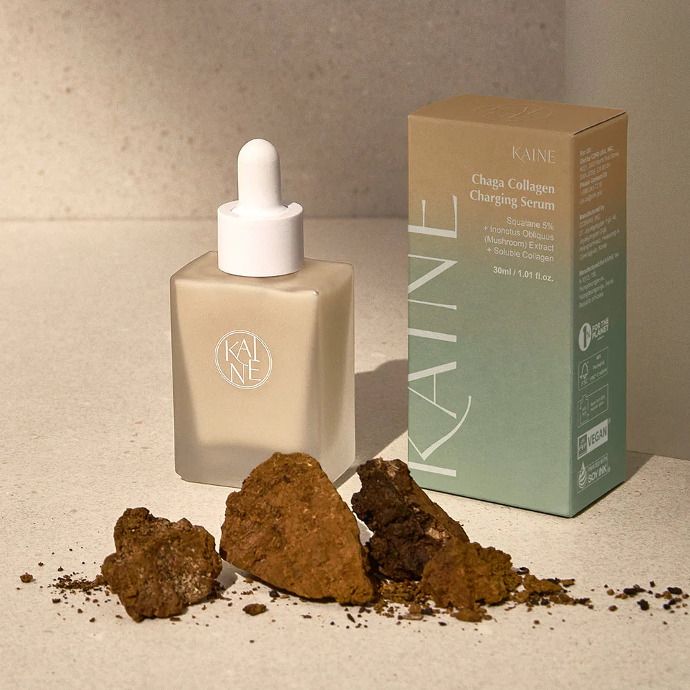KAINE | Chaga kolagen polnilni serum