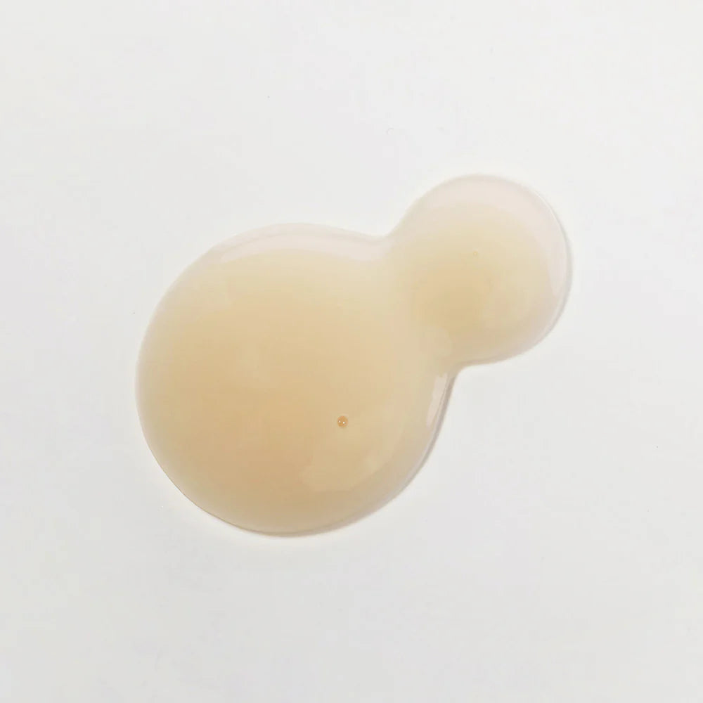 KAINE | Chaga kolagen polnilni serum